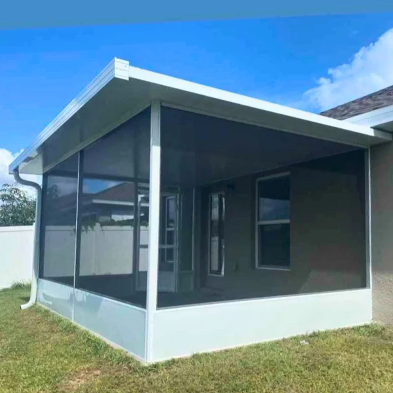 Lanai in Orlando - Spider Screen Services (16)